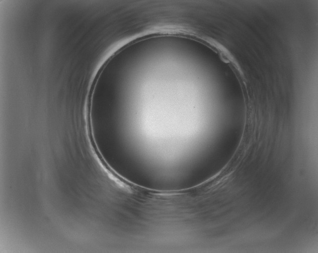 X0000080171343200612151913