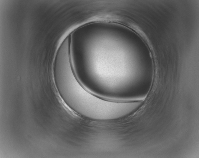 X0000080171344200612151913