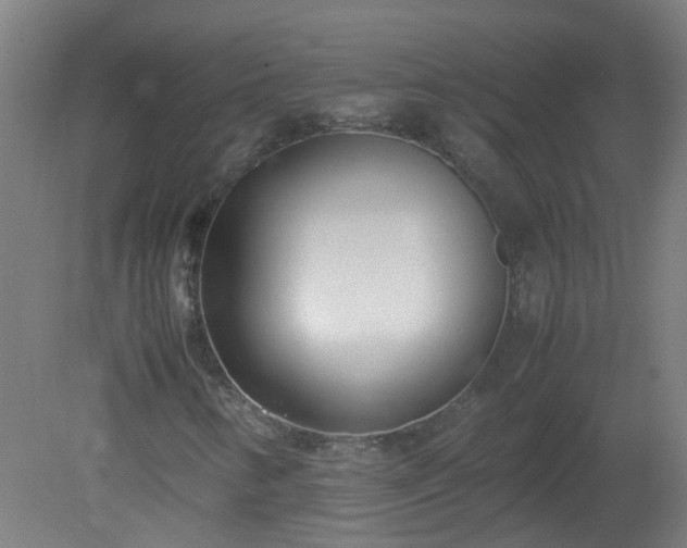 X0000080171346200612151912