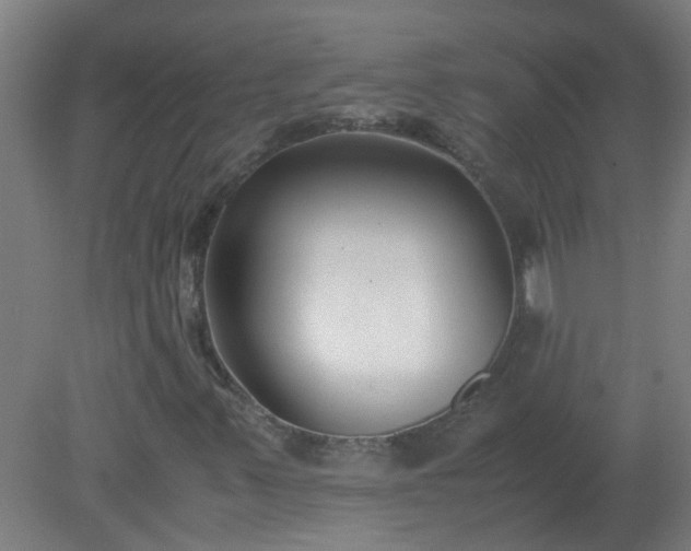 X0000080171347200612151912