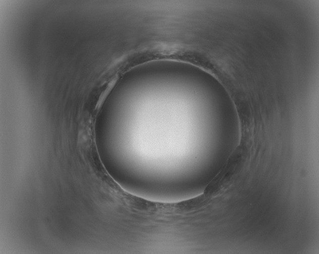 X0000080171349200612151912