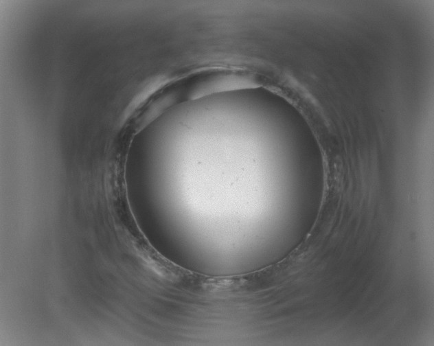 X0000080171352200612151912