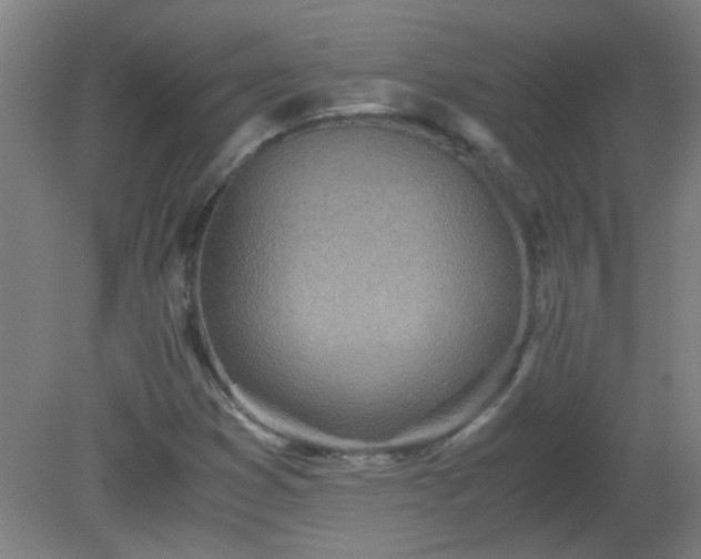 X0000080171353200612151912