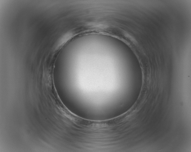 X0000080171354200612151912