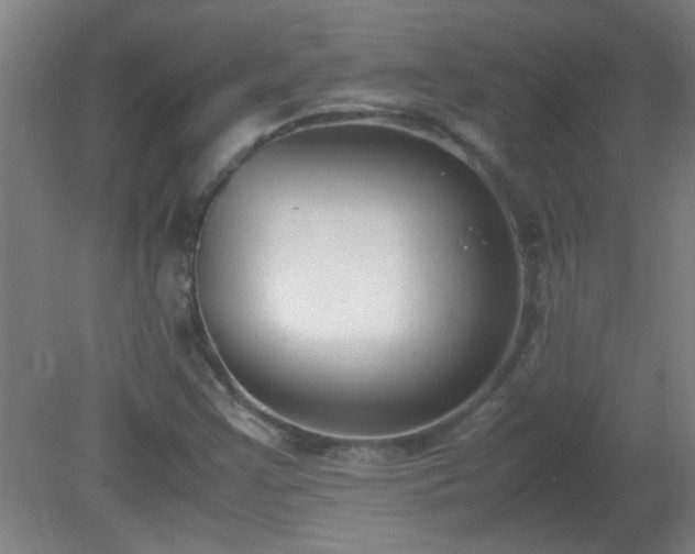 X0000080171355200612151912