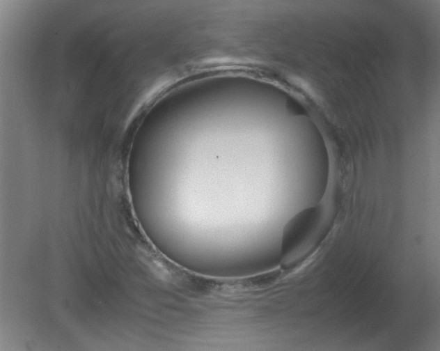 X0000080171357200612151912