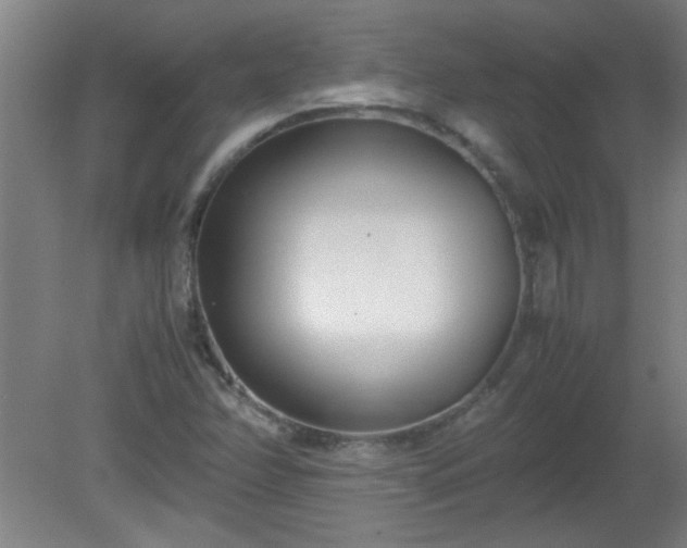 X0000080171358200612151912