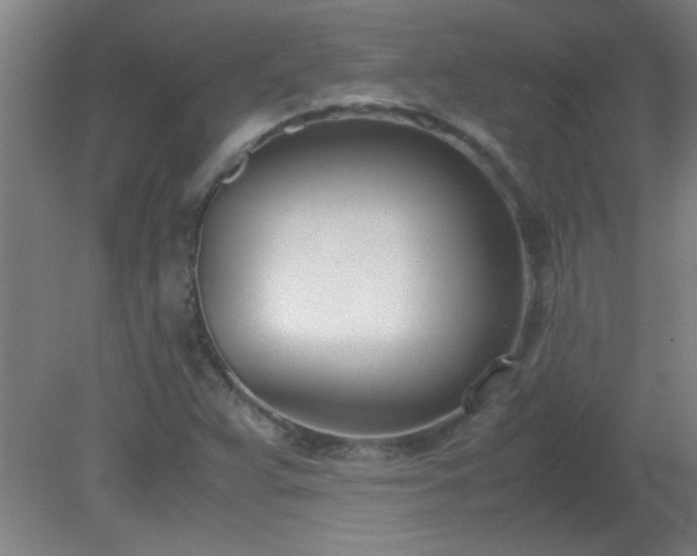 X0000080171359200612151912
