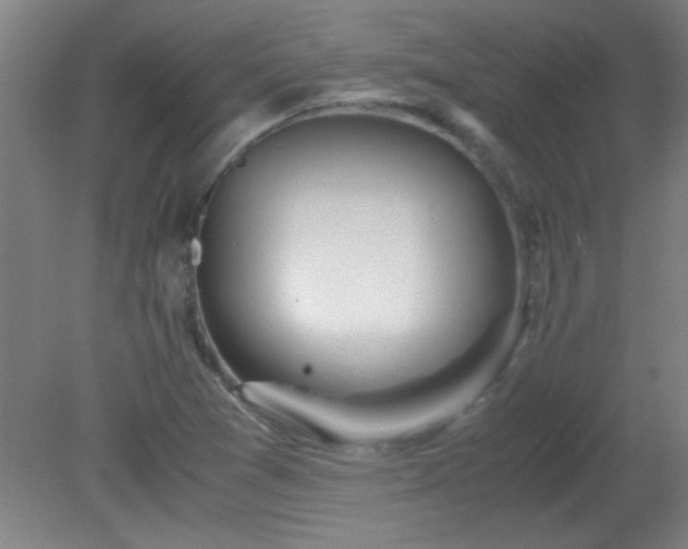 X0000080171361200612151912
