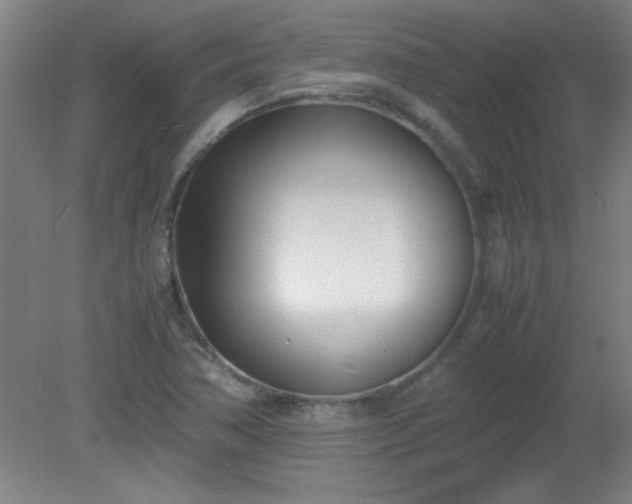 X0000080171362200612151912