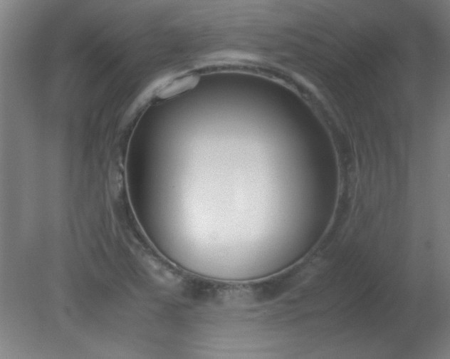 X0000080171363200612151912
