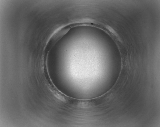 X0000080171364200612151911