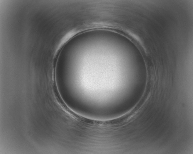 X0000080171365200612151911