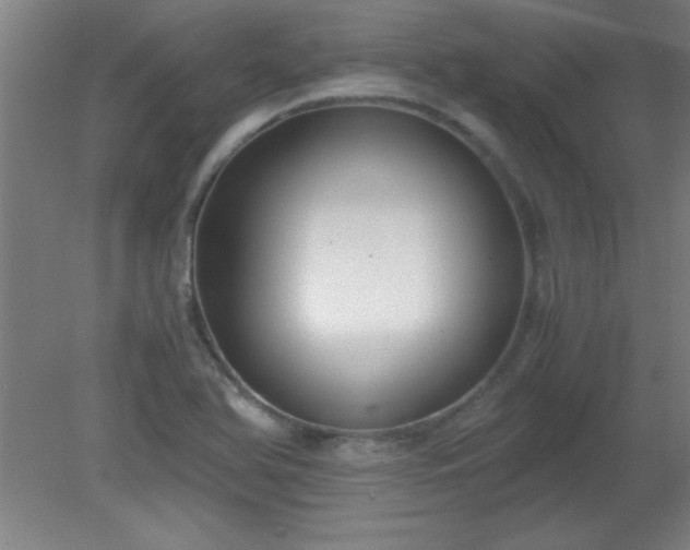 X0000080171366200612151911