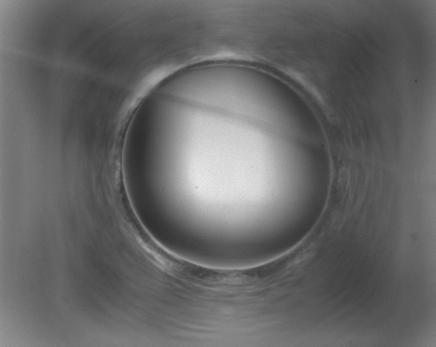 X0000080171367200612151911
