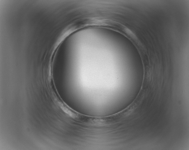 X0000080171370200612151911