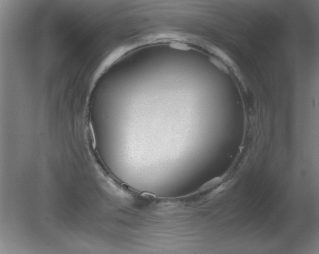 X0000080171373200612151911
