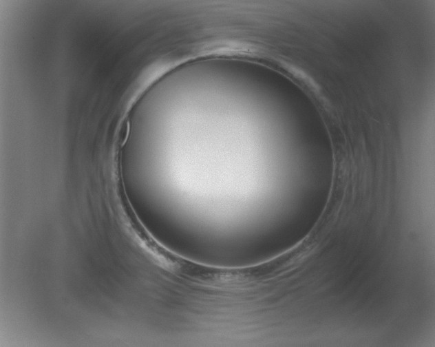 X0000080171375200612151911