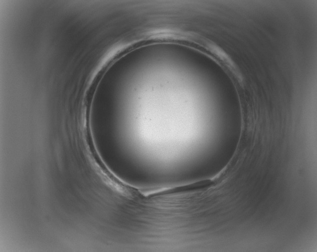 X0000080171376200612151911