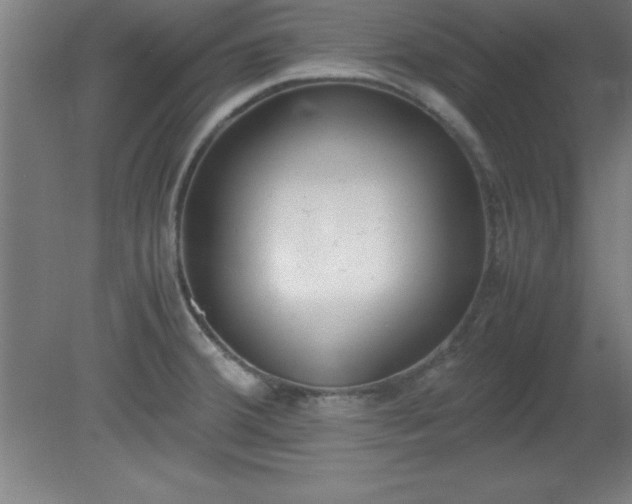 X0000080171380200612151911