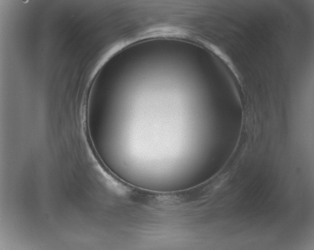 X0000080171383200612151911
