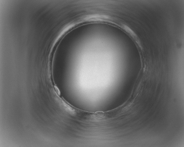 X0000080171384200612151911