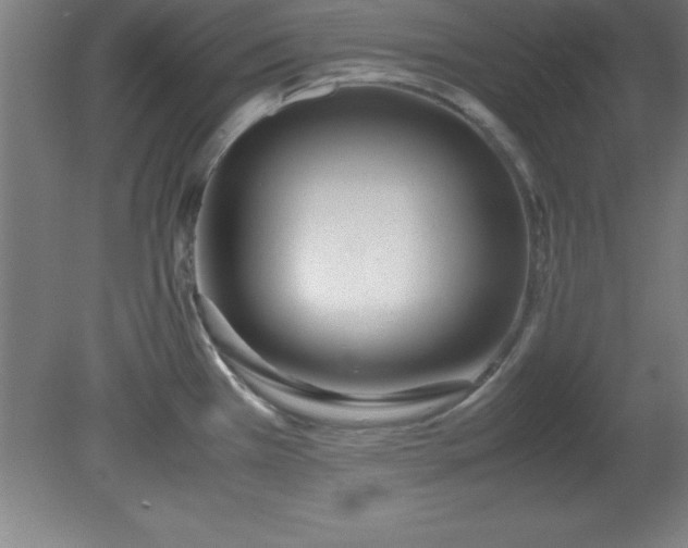 X0000080171385200612151911