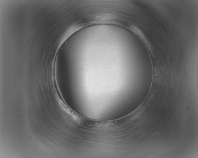 X0000080171386200612151911