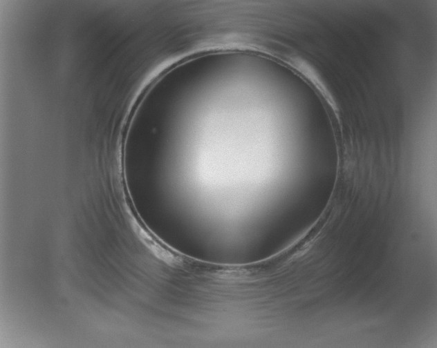 X0000080171388200612151911