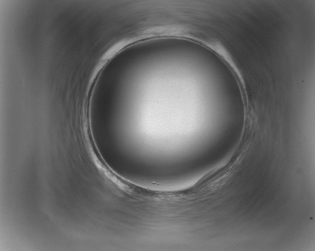 X0000080171389200612151911