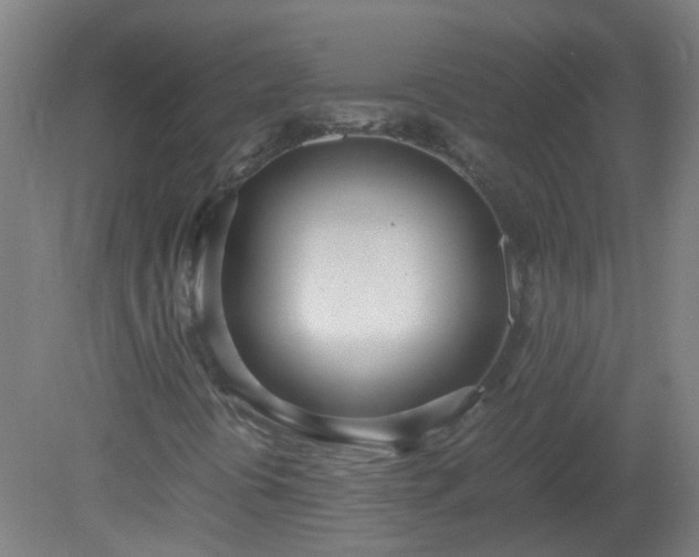 X0000080171394200612151910
