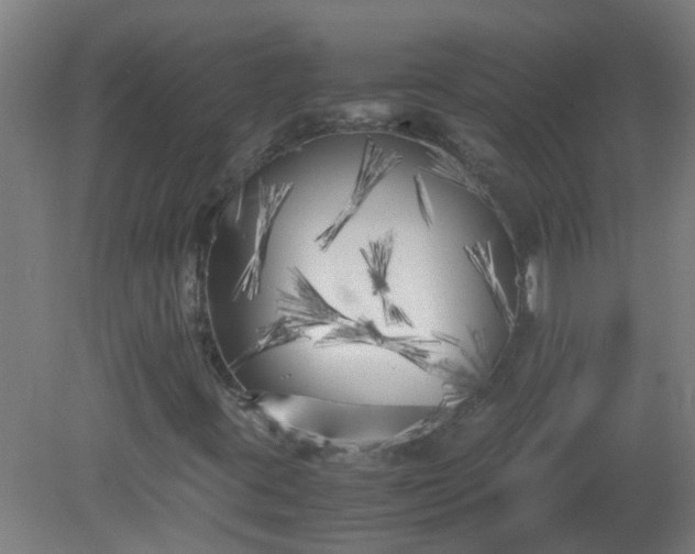 X0000080171395200612151910