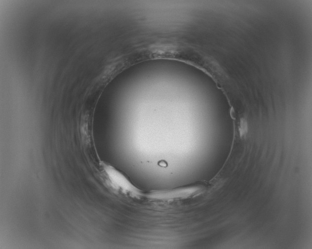 X0000080171396200612151910