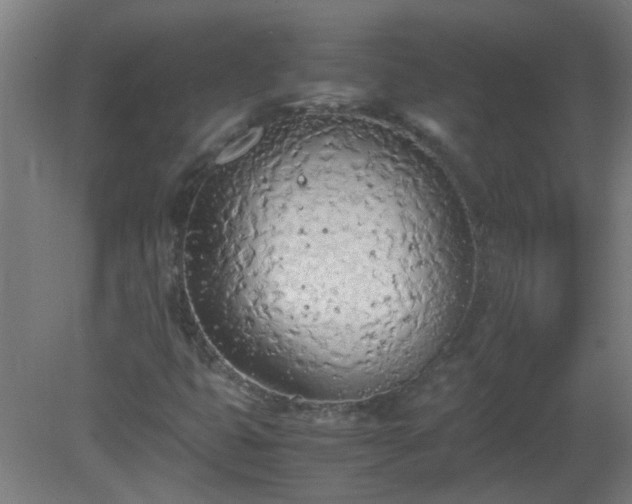 X0000080171399200612151910