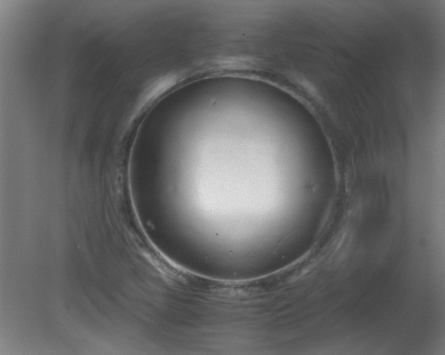 X0000080171405200612151910