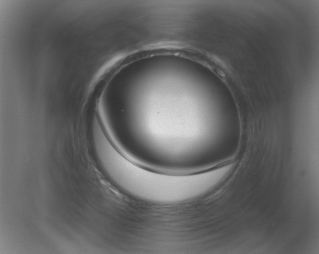 X0000080171406200612151910