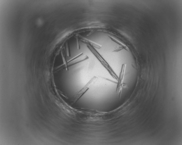 X0000080171407200612151910