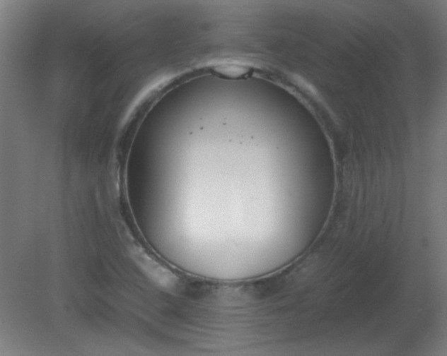 X0000080171408200612151910