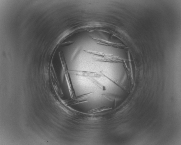 X0000080171409200612151910
