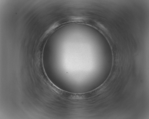 X0000080171411200612151911