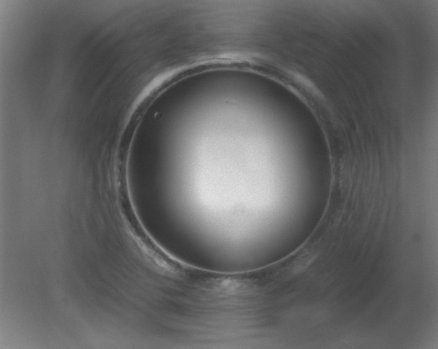 X0000080171412200612151911