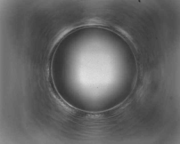 X0000080171415200612151911
