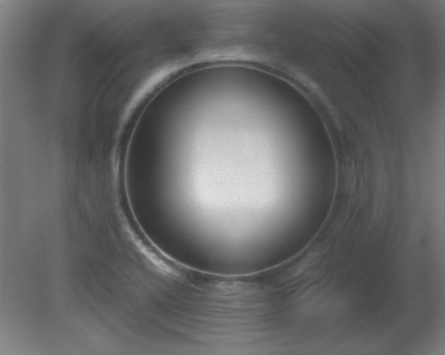 X0000080171416200612151911
