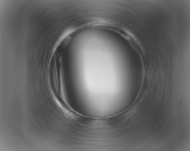 X0000080171418200612151911