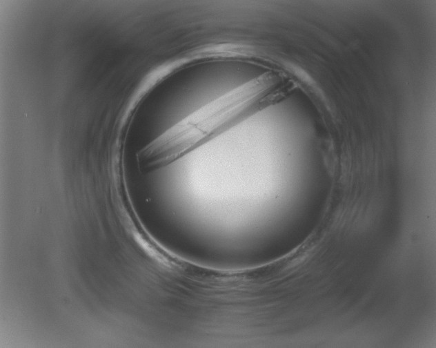 X0000080171421200612151911