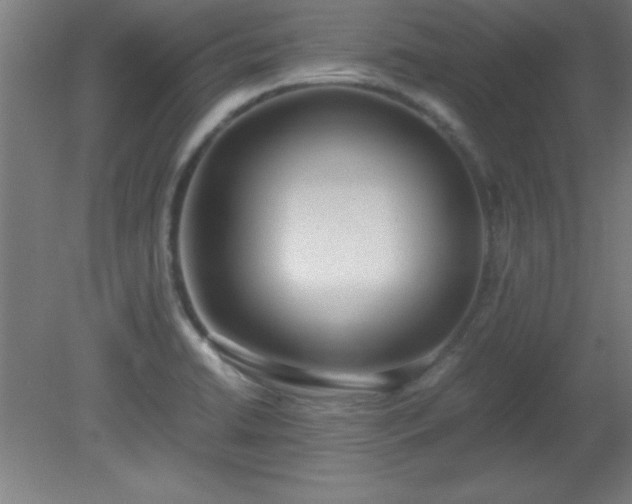 X0000080171422200612151911