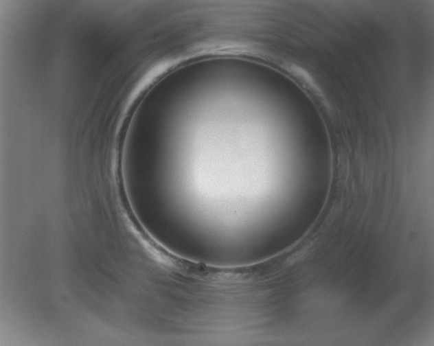 X0000080171424200612151911