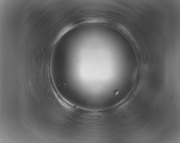 X0000080171425200612151911