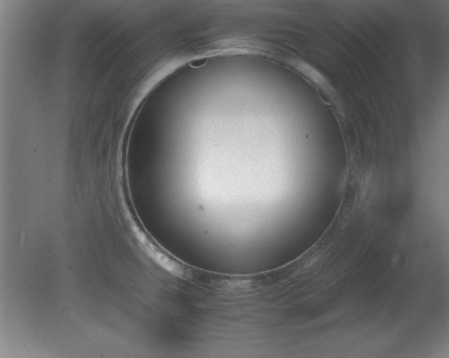 X0000080171431200612151911