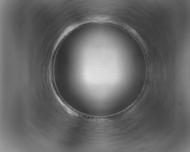 X0000080171432200612151911